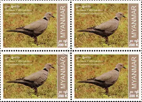 Endemic Birds: Burmese Collared-Dove -BLOCK OF 4- (MNH)
