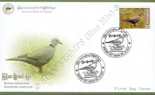 Endemic Birds: Burmese Collared-Dove -FDC(I)-I-