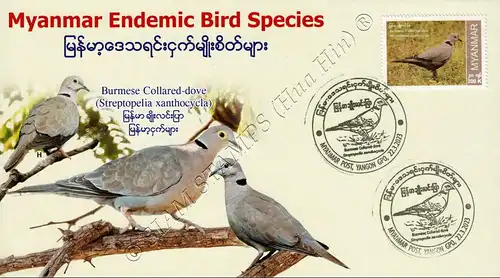 Endemic Birds: Burmese Collared-Dove -FDC(II)-I-