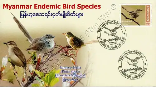 Endemic Birds: Burmese Prinia -FDC(II)-I-