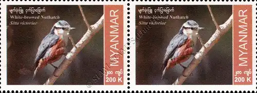 Endemic Birds: White-Browed Nuthatch -PAIR- (MNH)