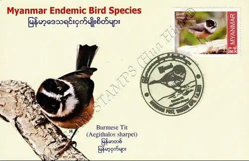 Endemic Birds: Burmese Tit -MAXIMUM CARD MC(I)-