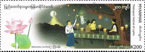 Festivals in Myanmar: Nelumbo nucifera - Thidingyut Festival of Lights (MNH)
