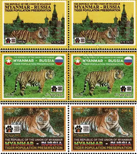 2. Internationale Forum zur Erhaltung der Tigerpopulation -PAAR- (**)