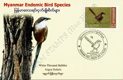 Endemische Vogelarten: Burmadrosselhäherling -MAXIMUM KARTE MC(II)-