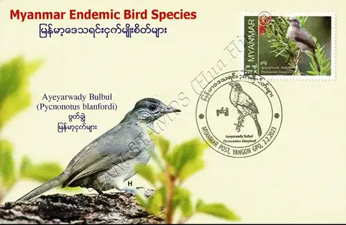 Endemische Vogelarten: Blanfordbülbül -MAXIMUM KARTE MC(II)-