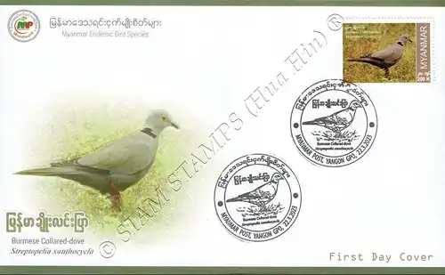 Endemische Vogelarten: Burmataube -FDC(I)-I-