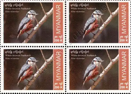Endemische Vogelarten: Weißbrauenkleiber -4er BLOCK- (**)
