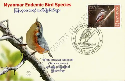 Endemische Vogelarten: Weißbrauenkleiber -MAXIMUMKARTE MC(I)-