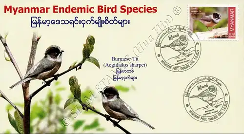 Endemische Vogelarten: Burmesische Buschmeise -FDC(II)-I-