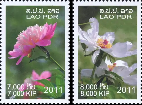 Peony (MNH)