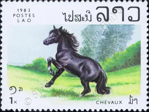 Horses (MNH)