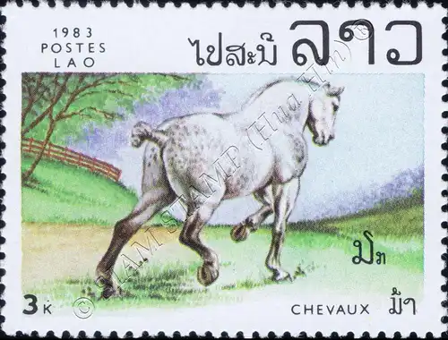 Horses (MNH)