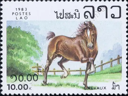 Horses (MNH)