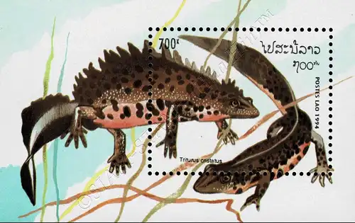 Reptiles and Amphibians (150A) (MNH)