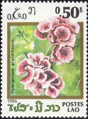 Flowers (III) (MNH)