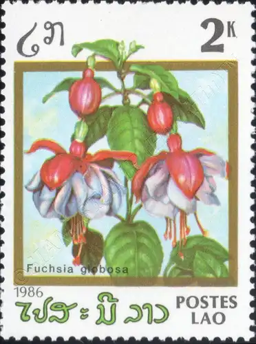 Flowers (III) (MNH)