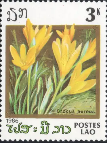 Flowers (III) (MNH)