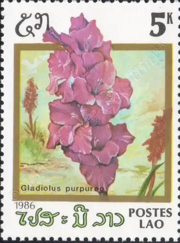 Flowers (III) (MNH)