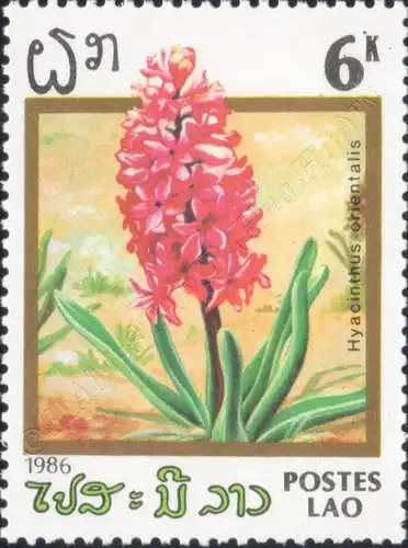 Flowers (III) (MNH)