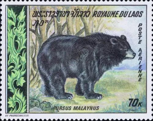 Local Animals (MNH)