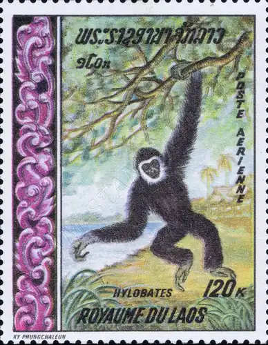 Local Animals (MNH)