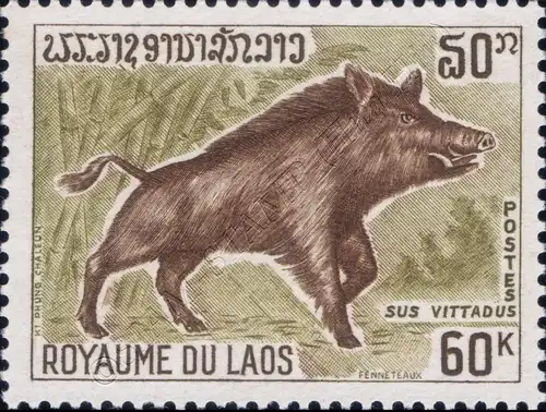 Protection of wild animals (MNH)