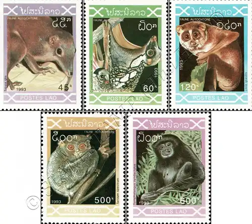 Indigenous Mammals (MNH)