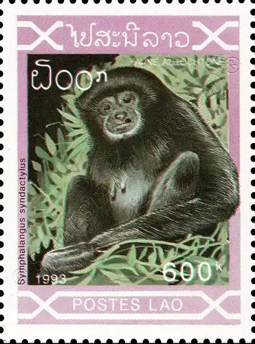 Indigenous Mammals (MNH)