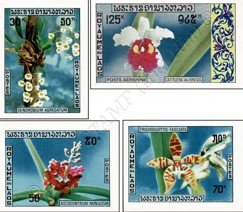 Native orchids (I) -IMPERFORATE- (MNH)