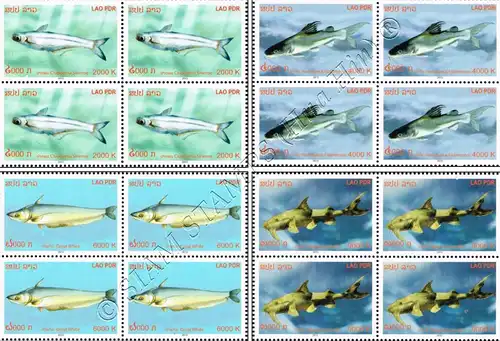 Catfish of the Mekong -BLOCK OF 4- (MNH)