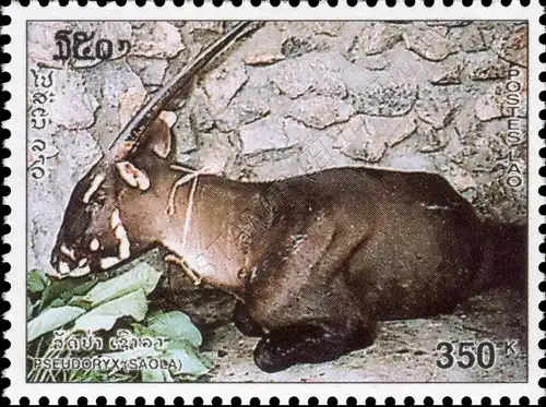 5th Anniversary of the discovery of a new species of antelope in Vietnam (MNH)