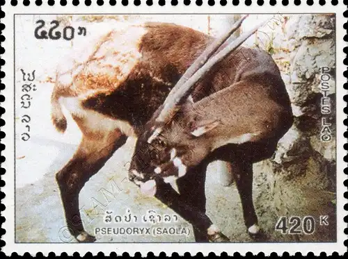 5th Anniversary of the discovery of a new species of antelope in Vietnam (MNH)