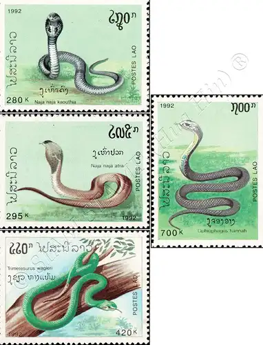 Poisonous Snakes (MNH)