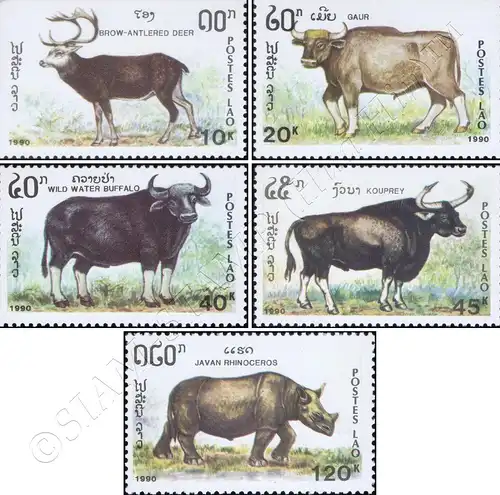 Animals: Herbivores (MNH)