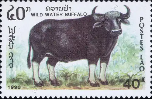 Animals: Herbivores (MNH)