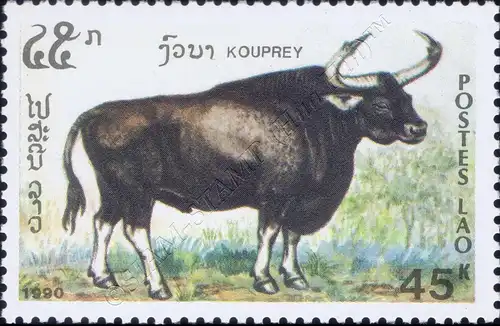 Animals: Herbivores (MNH)