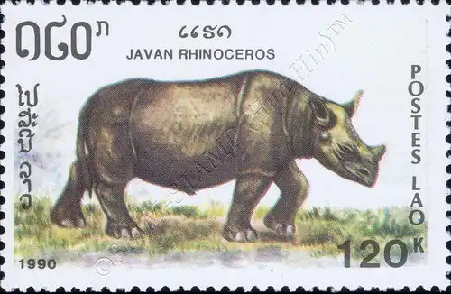 Animals: Herbivores (MNH)