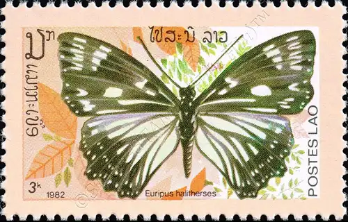 Butterflies (II) (MNH)