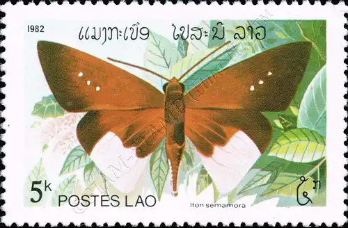 Butterflies (II) (MNH)