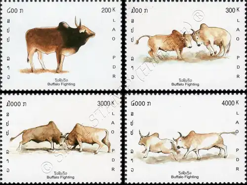 Bullfight (MNH)