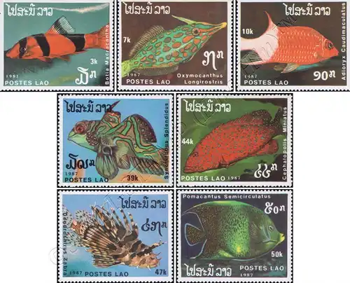 Fishes (III) (MNH)