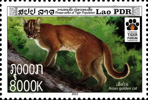 Preservation of Tiger Population (MNH)