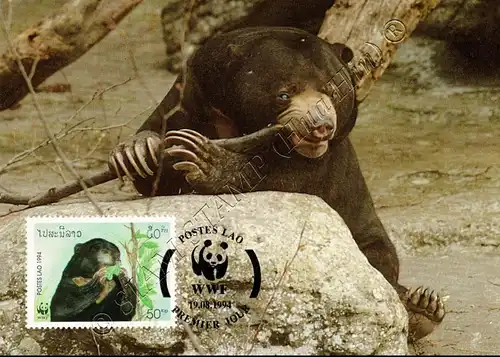 Worldwide Conservation: Sun Bear -MAXIMUM CARDS MC(I)-