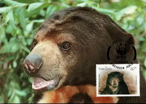 Worldwide Conservation: Sun Bear -MAXIMUM CARDS MC(I)-