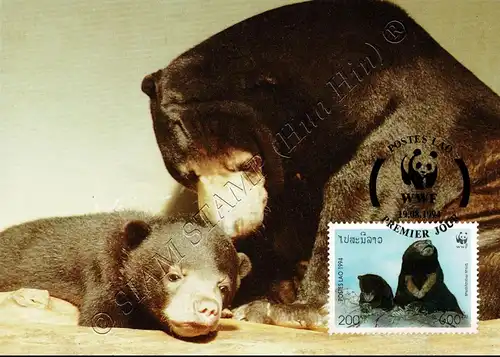 Worldwide Conservation: Sun Bear -MAXIMUM CARDS MC(I)-