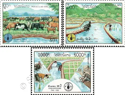 50 years Food and Agriculture Organization (FAO) (MNH)