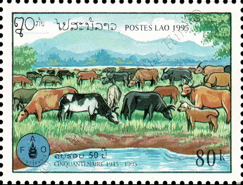 50 years Food and Agriculture Organization (FAO) (MNH)