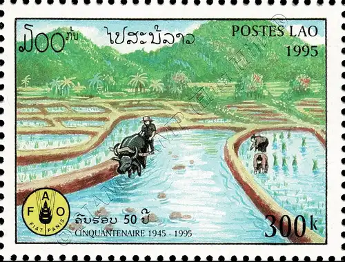 50 years Food and Agriculture Organization (FAO) (MNH)