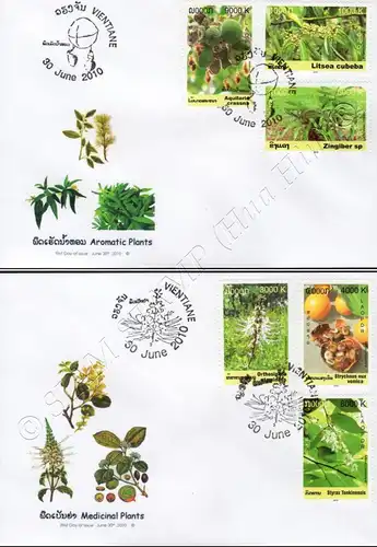 Medicinal Plants -FDC(I)-I-